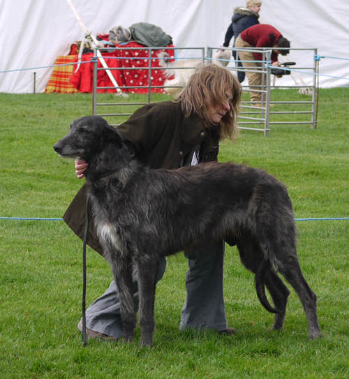 Islay's Iarla to Leoch